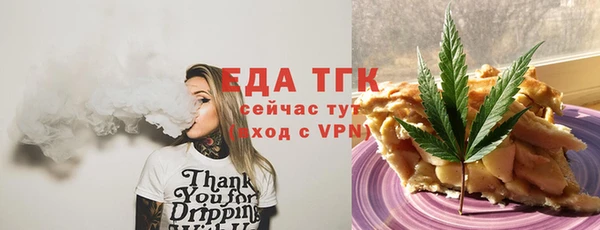 индика Абинск