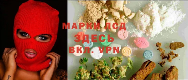 крисы Алзамай