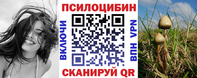 Галлюциногенные грибы Cubensis  как найти   Новопавловск 